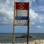 Governo de Pernambuco vai retomar monitoramento de incidentes de tubarão após 11 anos