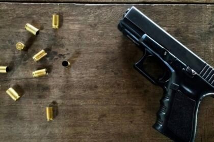Comissão da Câmara aprova em menos de 10 minutos projeto do programa ‘Minha Primeira Arma’